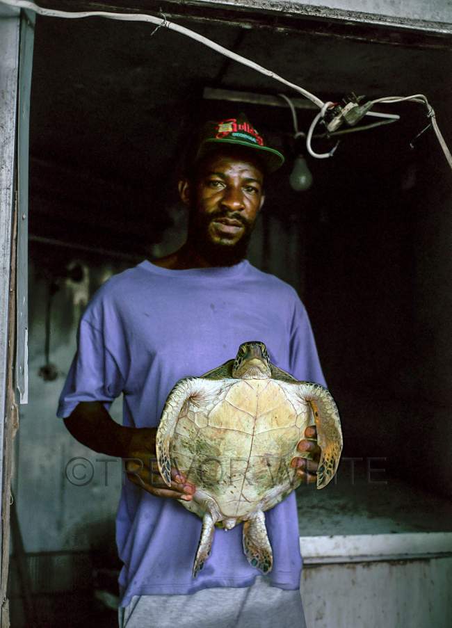 Turtle seller