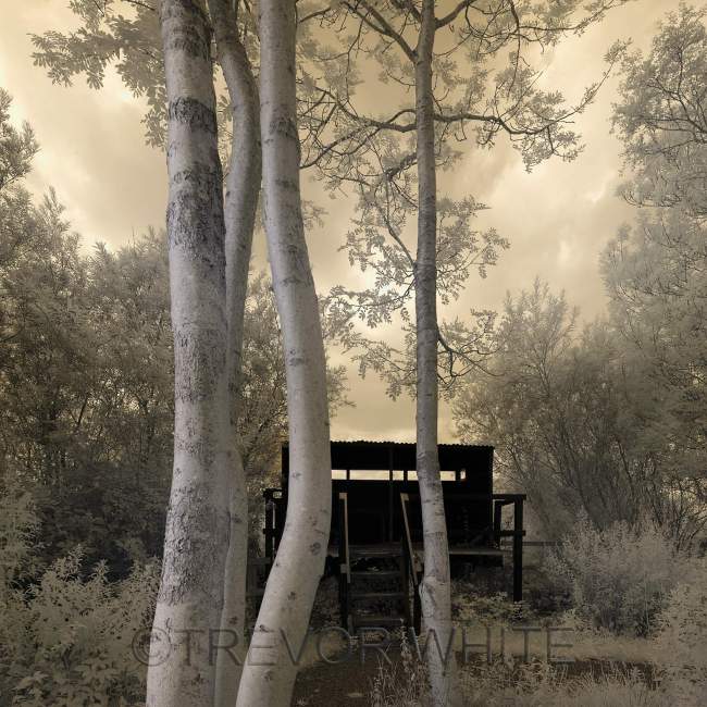 Stony Stratford Hide